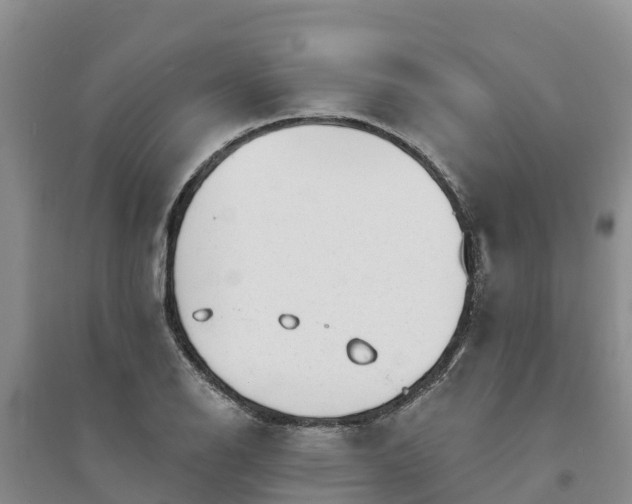 X0000094331126200711091358