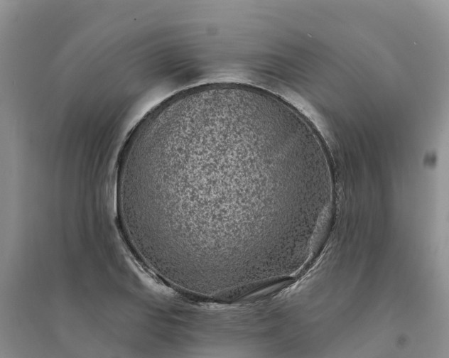 X0000094331127200711091358