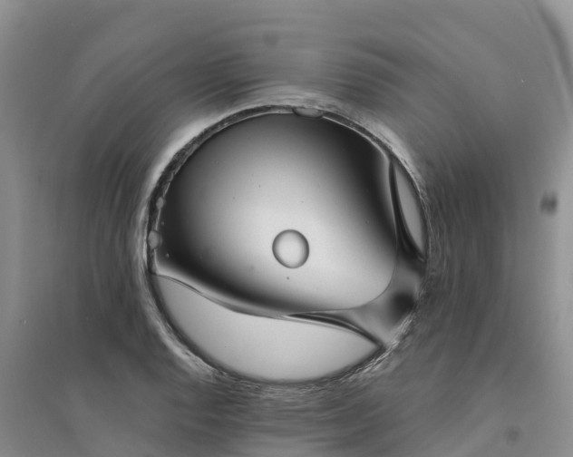 X0000094331128200711091358