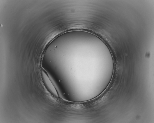 X0000094331129200711091358