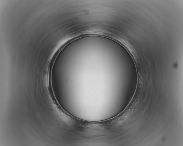 X0000094331131200711091358