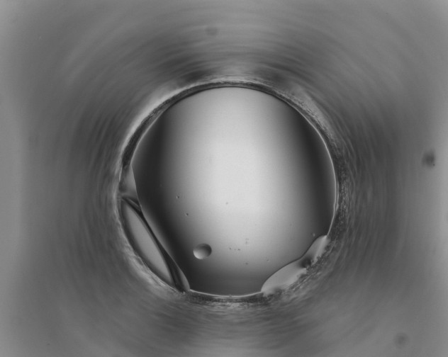 X0000094331132200711091358