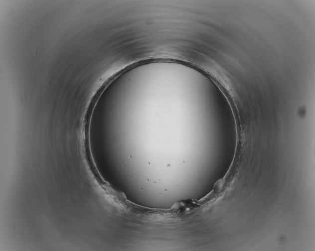 X0000094331133200711091358