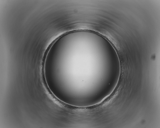 X0000094331134200711091358
