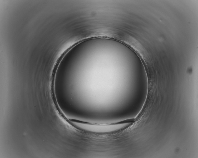 X0000094331135200711091358