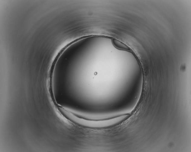X0000094331136200711091358