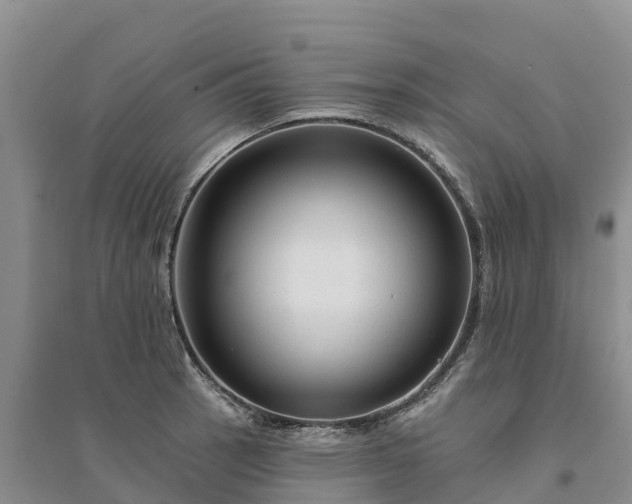 X0000094331137200711091358