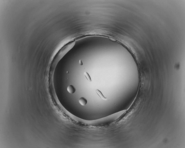 X0000094331138200711091359