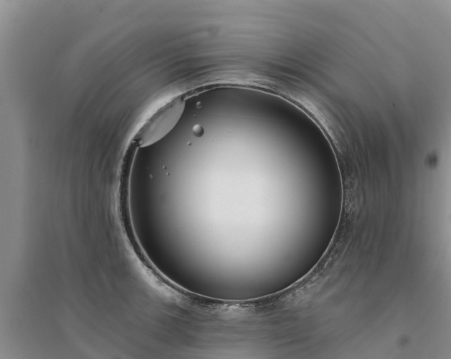 X0000094331139200711091359