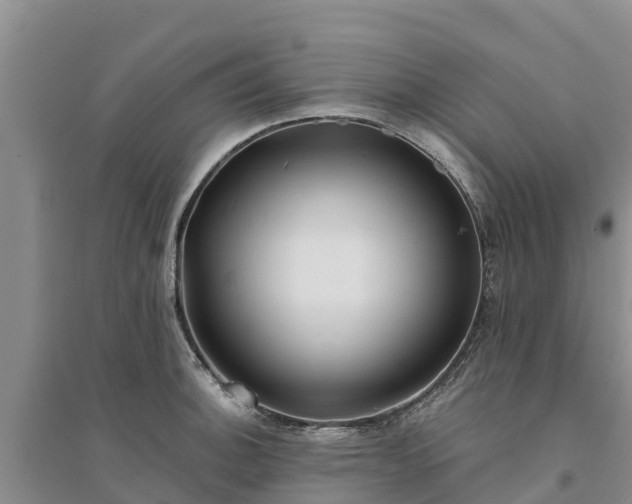 X0000094331140200711091359