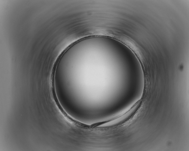 X0000094331141200711091359