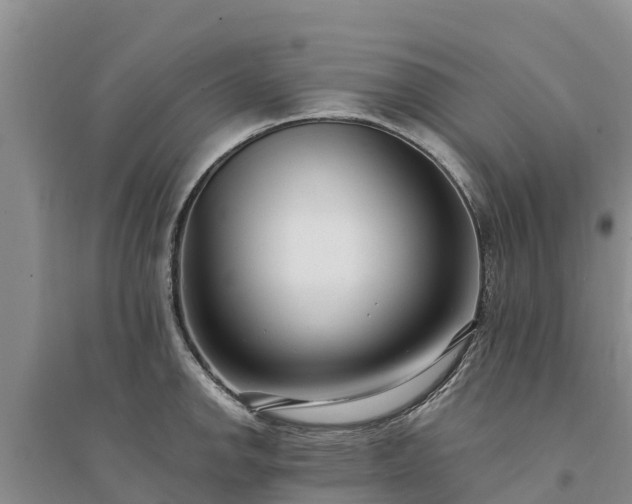 X0000094331142200711091359
