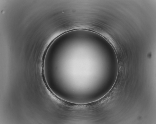 X0000094331143200711091359