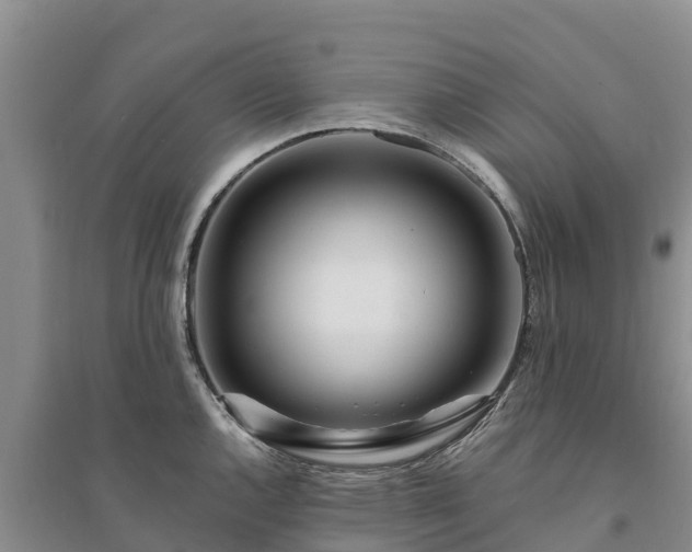 X0000094331144200711091359