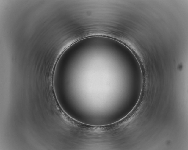 X0000094331145200711091359