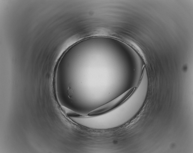 X0000094331146200711091359