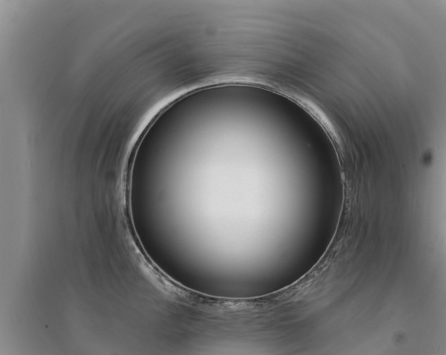 X0000094331148200711091359