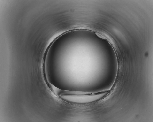 X0000094331149200711091359