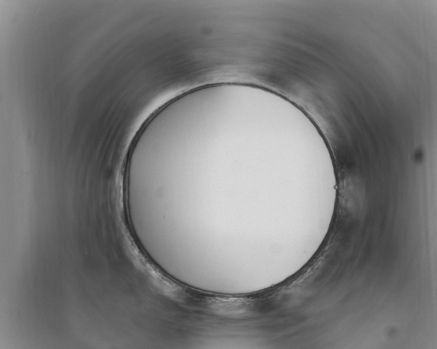 X0000094331150200711091359