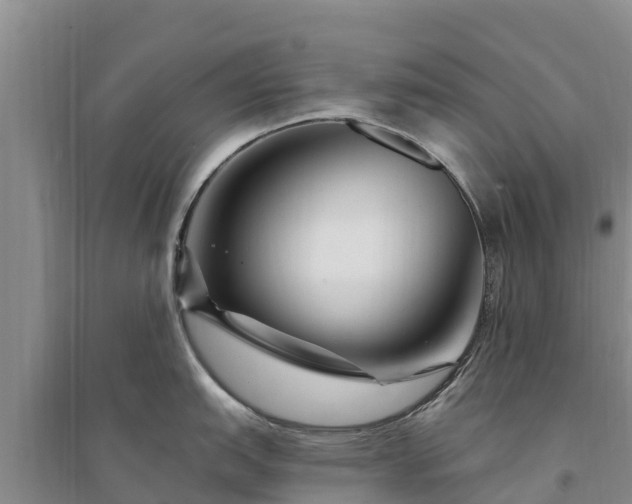 X0000094331151200711091359