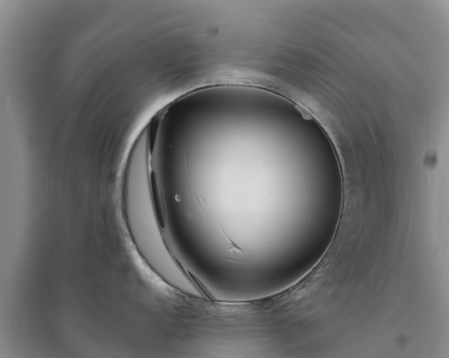 X0000094331152200711091359