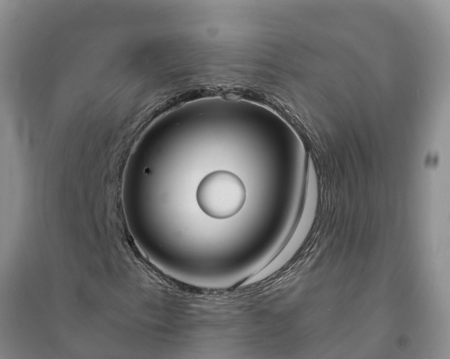 X0000094331153200711091358