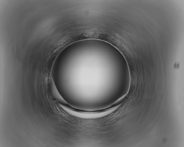 X0000094331154200711091358