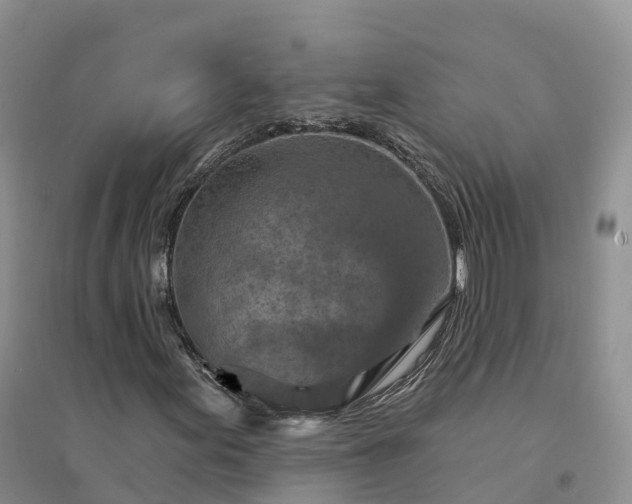 X0000094331155200711091358
