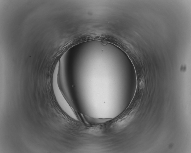 X0000094331156200711091358