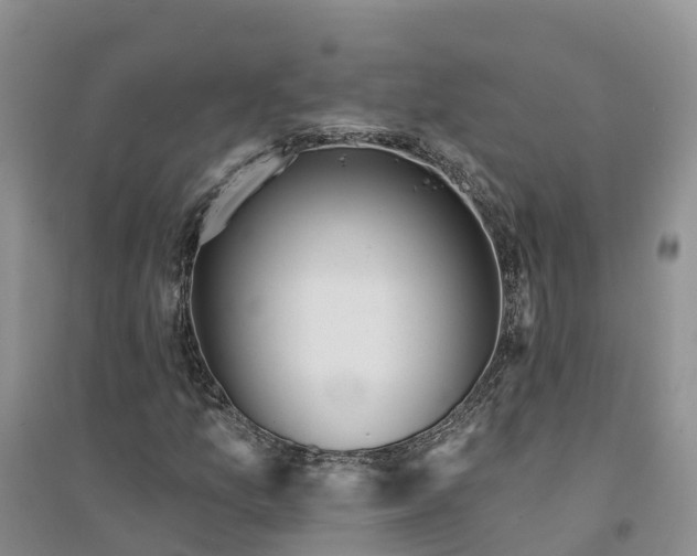 X0000094331157200711091358
