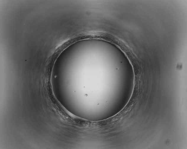 X0000094331158200711091358