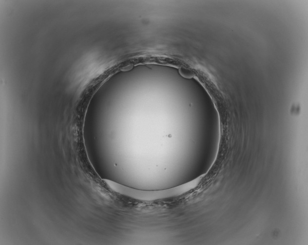 X0000094331159200711091358