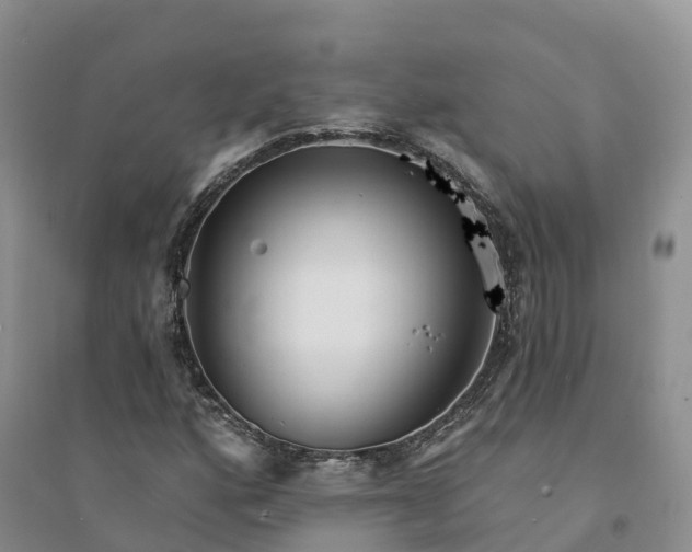 X0000094331160200711091358