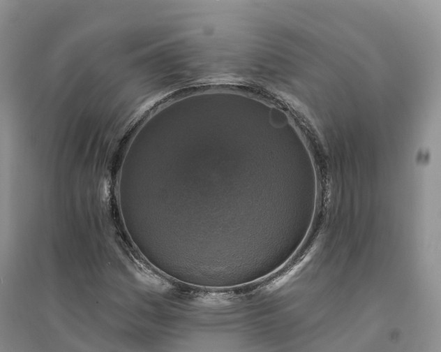 X0000094331161200711091358