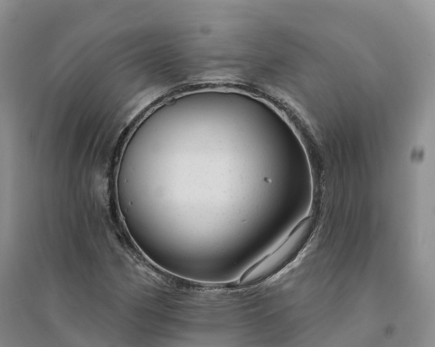 X0000094331162200711091358