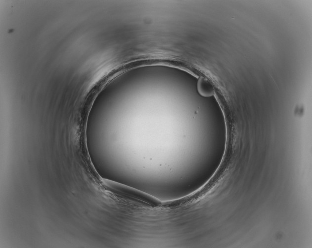 X0000094331163200711091358