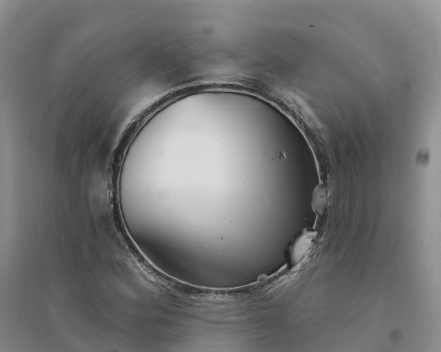 X0000094331164200711091358