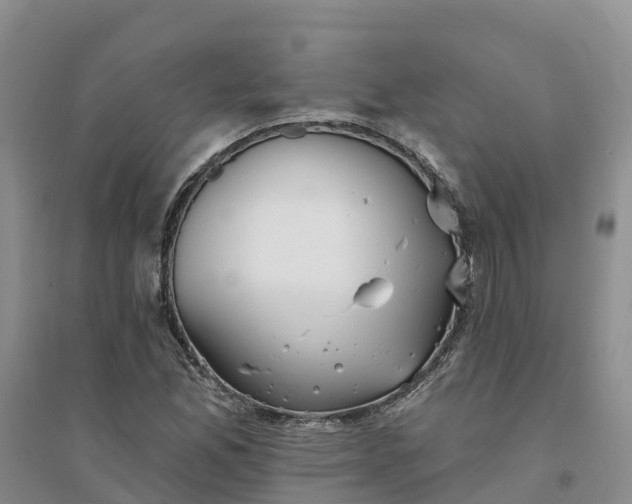 X0000094331165200711091358