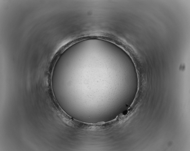 X0000094331166200711091358