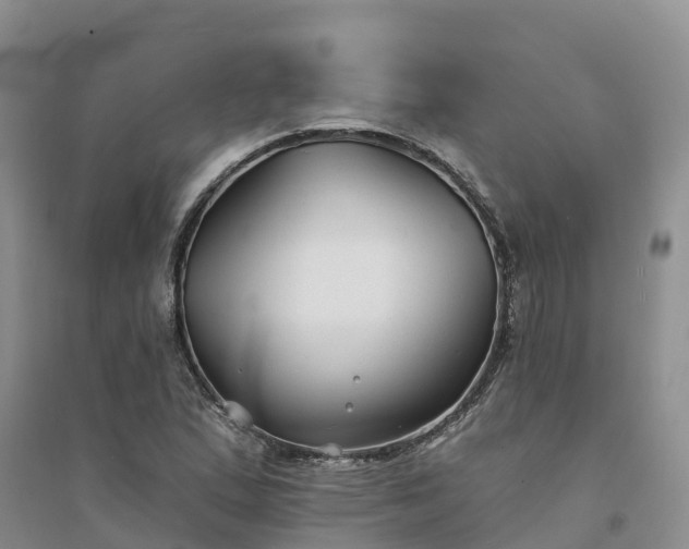 X0000094331167200711091358