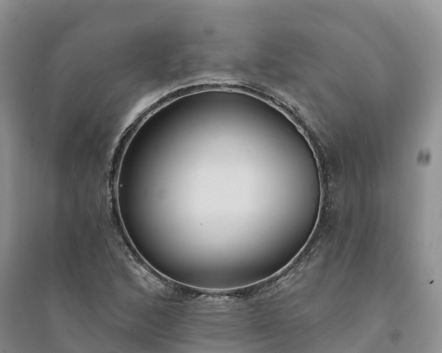 X0000094331168200711091358