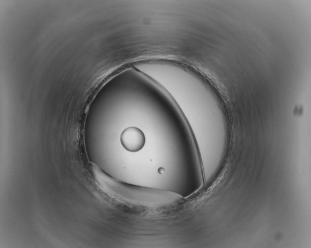 X0000094331169200711091358