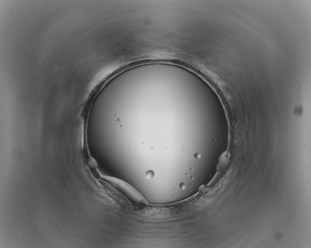 X0000094331171200711091358