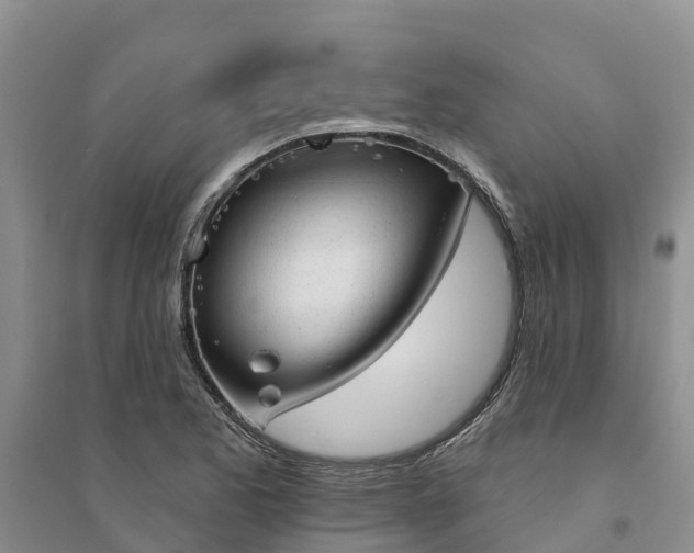 X0000094331173200711091358