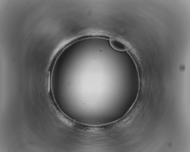 X0000094331175200711091358