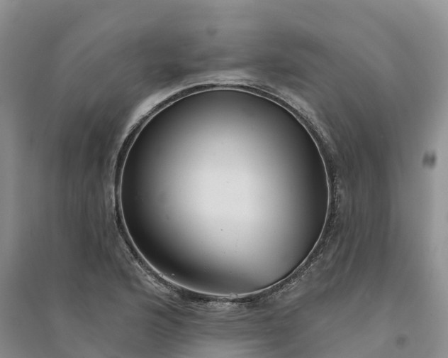 X0000094331176200711091358