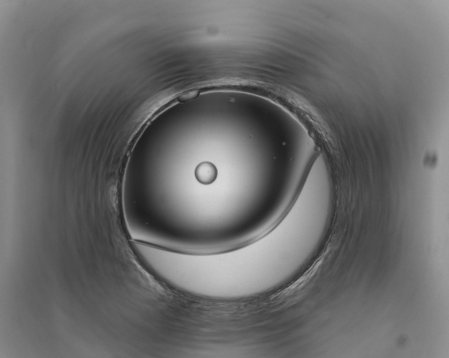 X0000094331177200711091358