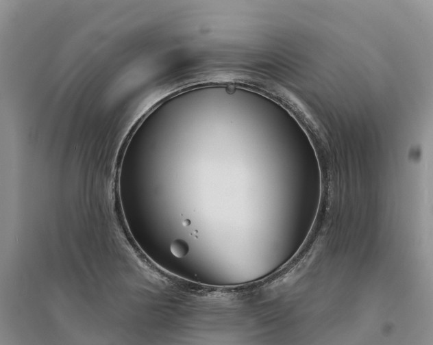 X0000094331178200711091358