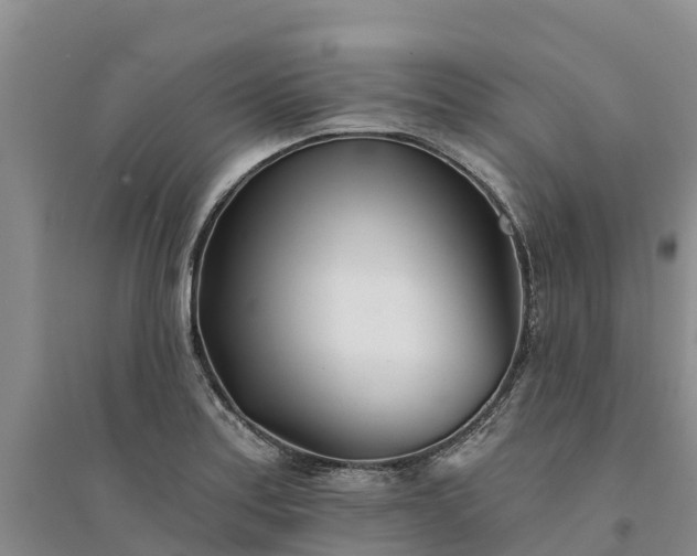 X0000094331179200711091358