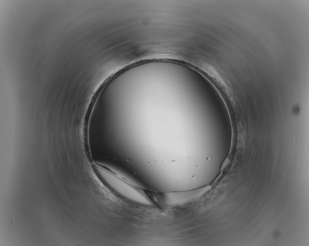 X0000094331181200711091358